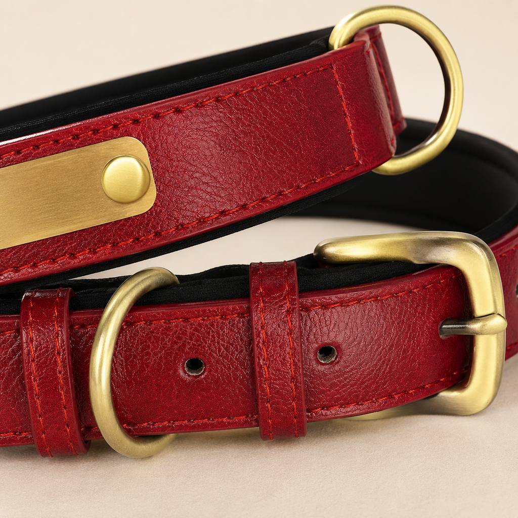 Classic Leather Dog Collar Set｜名入れ対応 本革風首輪・リードセット｜Nest & Paw