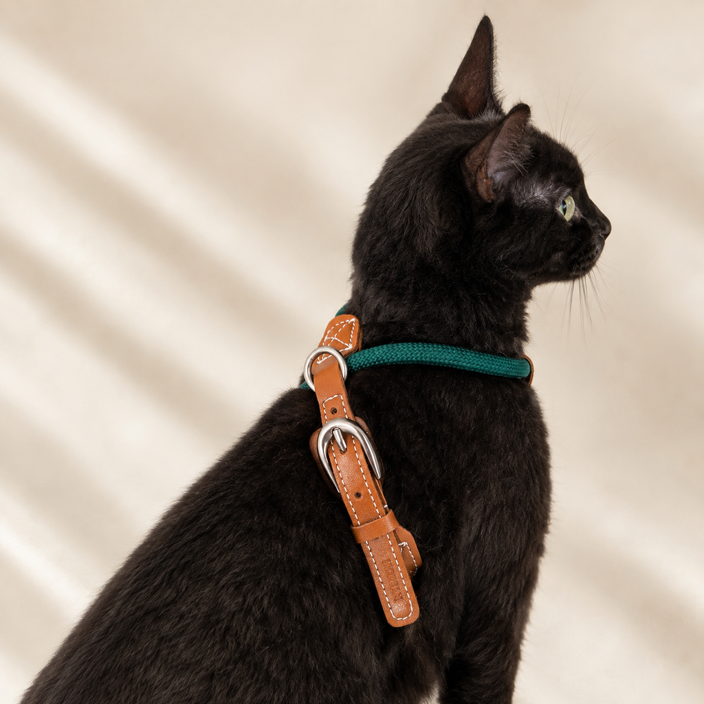 Everyday Walk™ Leather Harness & Leash Set｜本革調 ハーネス＆リードセット｜Nest & Paw