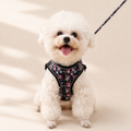 BloomFit™ Harness Set｜花柄ハーネス＆リードセット｜Nest & Paw