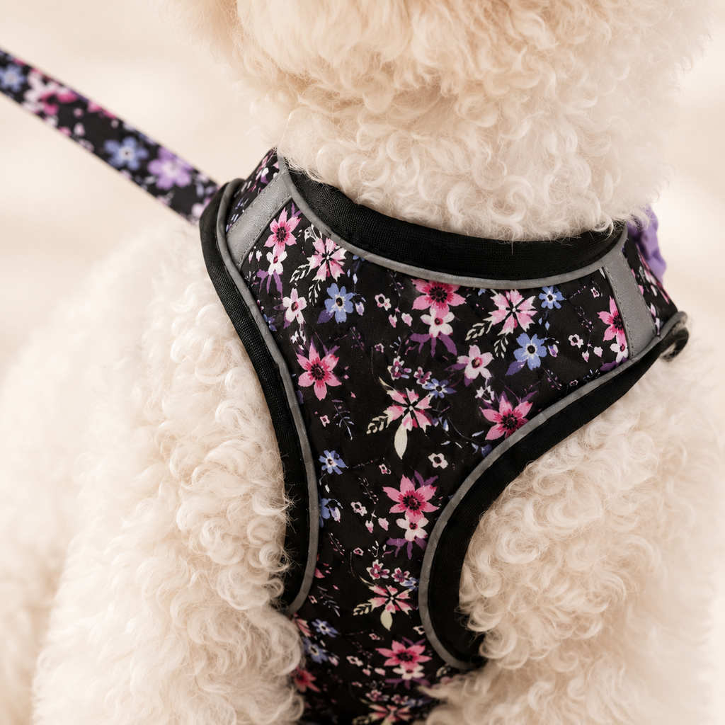 BloomFit™ Harness Set｜花柄ハーネス＆リードセット｜Nest & Paw