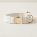 Premium Velvet Dog Collar｜ベルベット ドッグカラー｜Nest & Paw