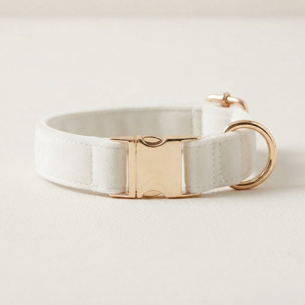 Premium Velvet Dog Collar｜ベルベット ドッグカラー｜Nest & Paw