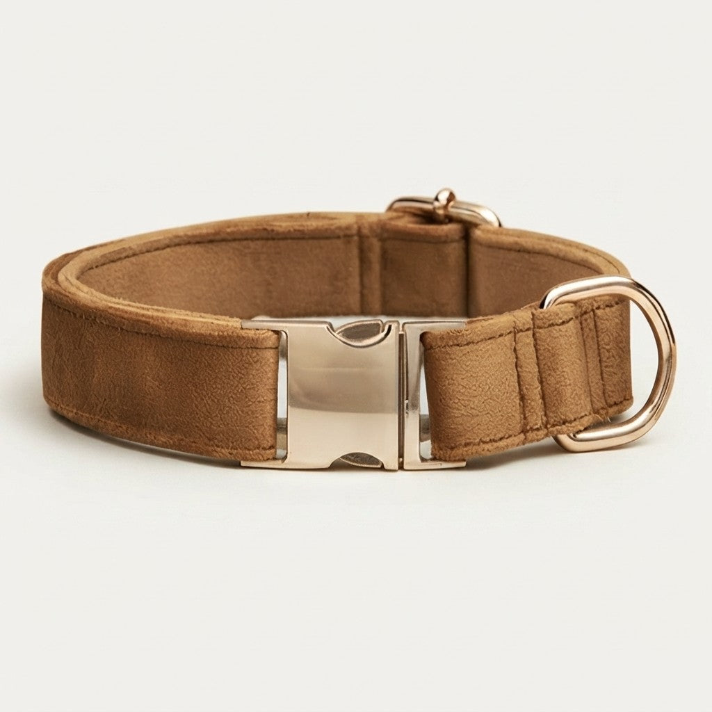 Premium Velvet Dog Collar｜ベルベット ドッグカラー｜Nest & Paw