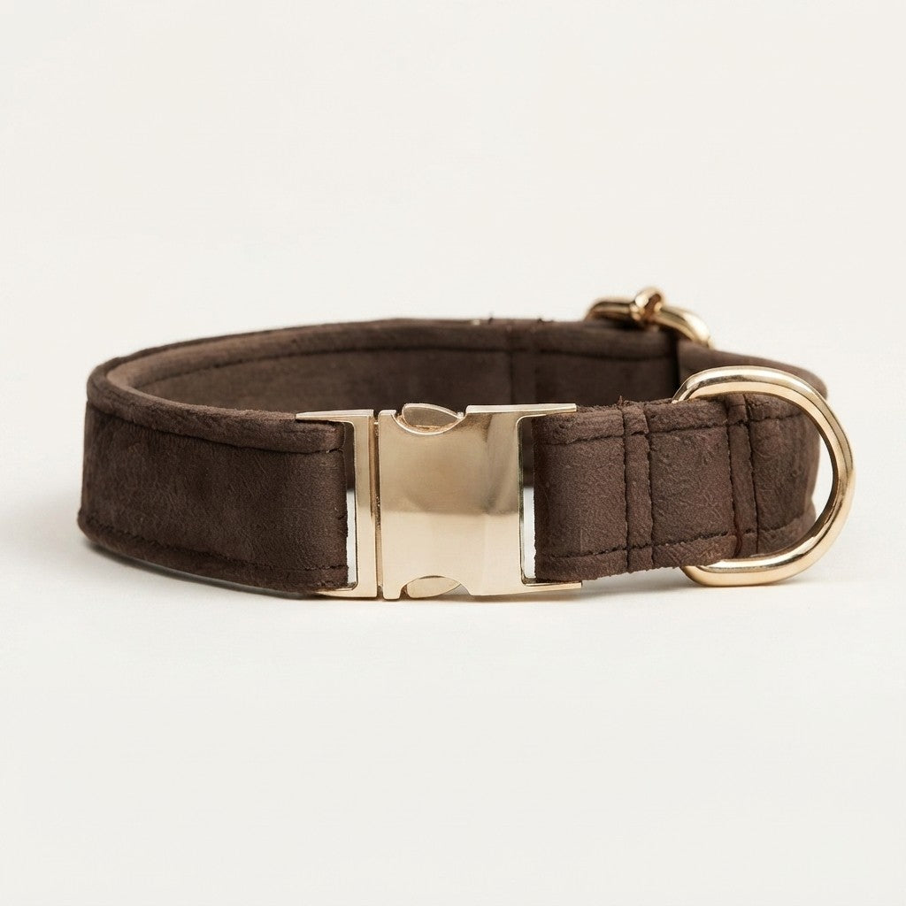 Premium Velvet Dog Collar｜ベルベット ドッグカラー｜Nest & Paw